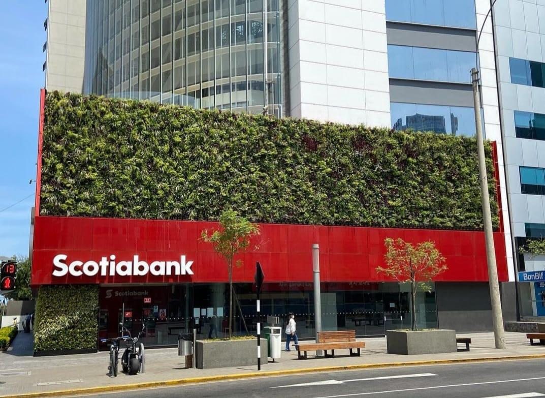 Fachada comercial concluída com jardim vertical natural