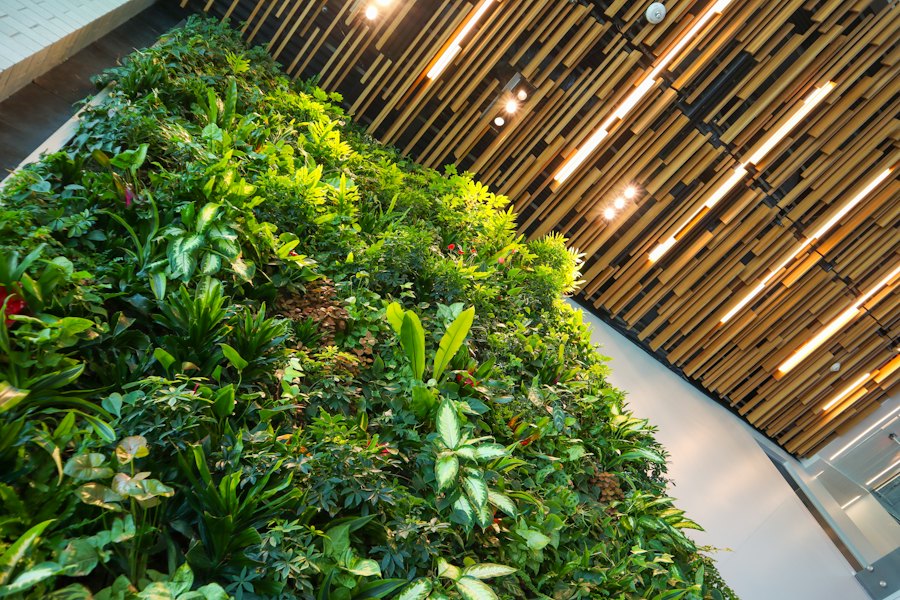 Jardim vertical em ambiente comercial