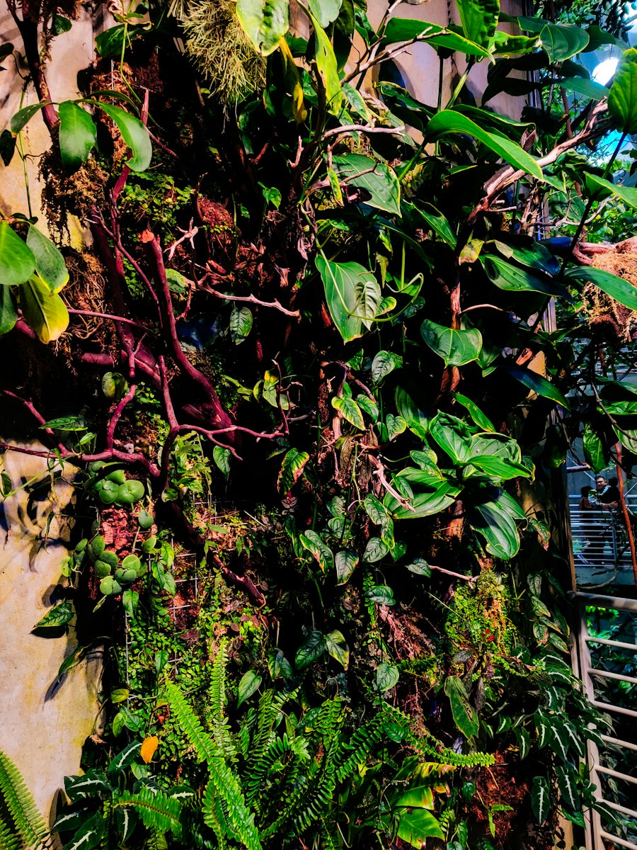 Jardim vertical exuberante